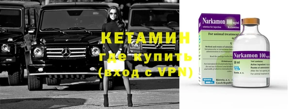 соль ск Каменка