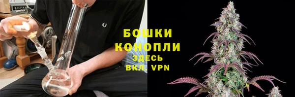соль ск Каменка