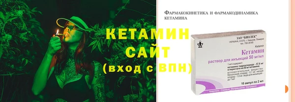 соль ск Каменка