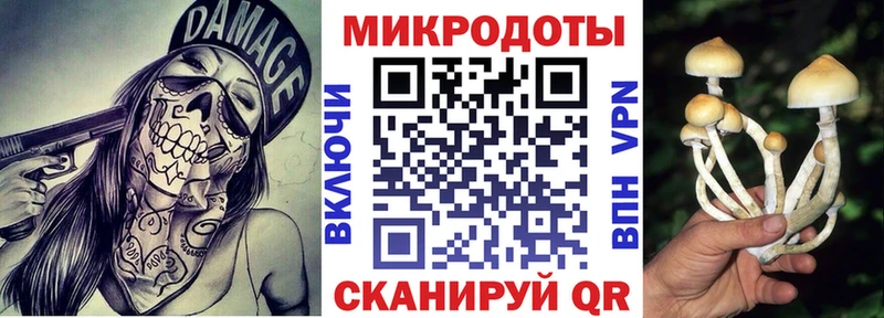 сколько стоит Краснокамск мега сайт Галлюциногенные грибы мицелий